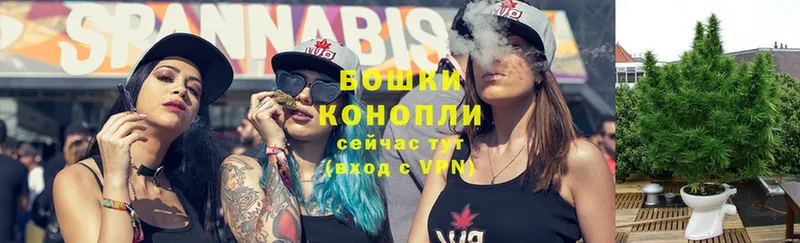 Бошки марихуана Ganja  Жердевка 